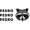 Funny Raccoon T-Shirt Pedro