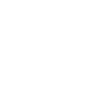 Cadeaux Border Collie