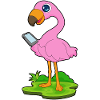 Flamingo Mobile Phone