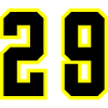 29 Number Jersey