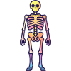 Skeleton Comic Halloween