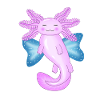 Angel axolotl