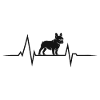 Bouledogue français - Rythme cardiaque