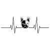 Bouledogue français - Rythme cardiaque