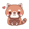 Cute Shy Red Panda