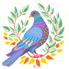 pigeon