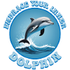 Embrace Your Inner Dolphin