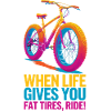 Vibrant Fat Tired Bicycle Design