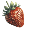 Fragola Fruit Look Collezione di frutta retrò