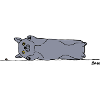 Lovely Cat