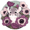 Chinchilla
