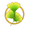 Gingko