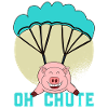 Flying Piggy Parachute Skydiving