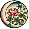 Lotusblüte