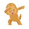 Goldendoodle