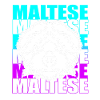 Maltese Dog