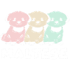 Maltese