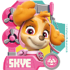 Paw Patrol Skye Charakterdesign