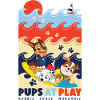 Paw Patrol 'Pups At Play' Rubble Chase Marshall