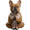 Bulldog