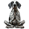 Great Dane