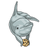 Dolphin Cookie