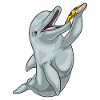 Dolphin Pizza