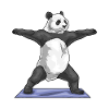 Panda Yoga Fitness Gymnastics