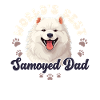 Samoyède Groovy Samoyède