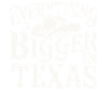 État du Texas Texans Texas