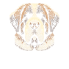 St. Bernard fingerprint