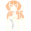 Beagle Fingerprint