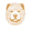 Empreinte digitale Chow Chow