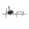 Ostrich