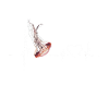 Méduse