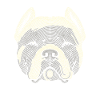 Empreinte digitale d’American Bully