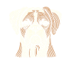 Boxer Hond Duitse Boxer Vingerafdruk