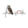 Hibou
