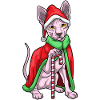 Sphynx Cat Canne de Noël