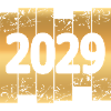 2029