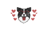 Cadeaux Border Collie