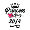 2014 Princess Birthday