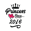 2016 Princess Birthday