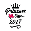 2017 Princess Birthday