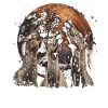 Appaloosa Horse Howling Moon