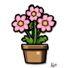 un pot de fleurs vert-rose
