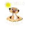 HELLO sunshine