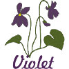 veilchen violet
