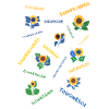 Sonnenblumen