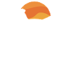 Oeuf local Poule Oeufs